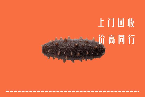 高价求购：正蓝旗回收海参