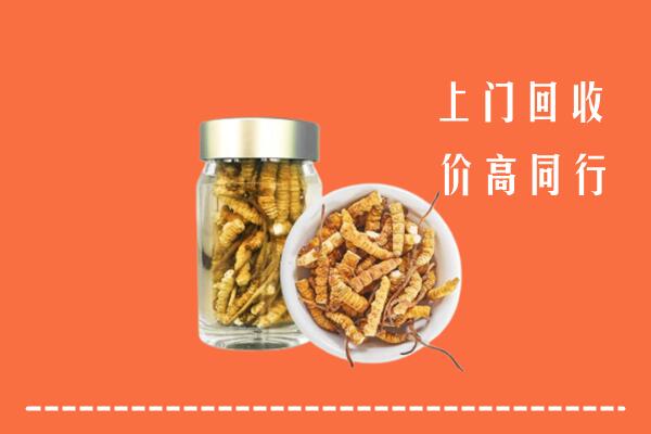 正蓝旗回收冬虫夏草