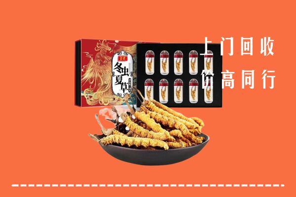 正蓝旗回收虫草